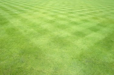 The Top Three Lawn Mowing Patterns and How to Achieve Them